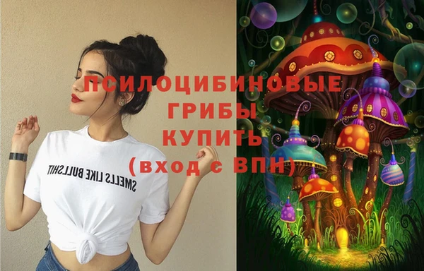 мяу мяу мука Елизово