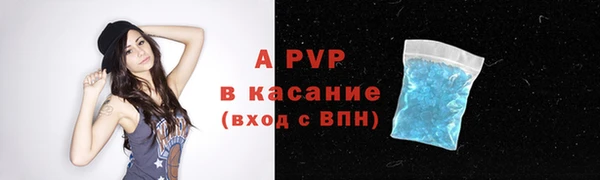 мяу мяу мука Елизово