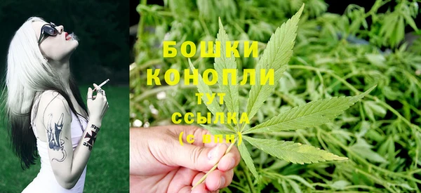 мяу мяу мука Елизово