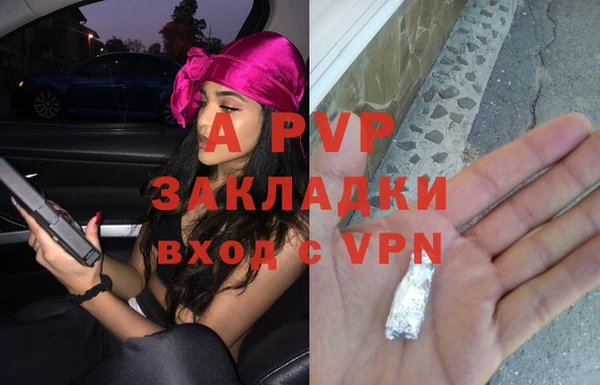 мяу мяу мука Елизово