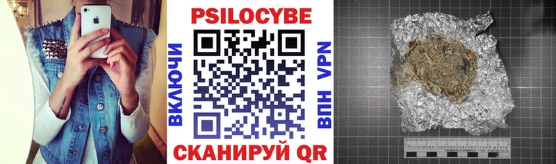 Галлюциногенные грибы Psilocybe  Купить  Донской 